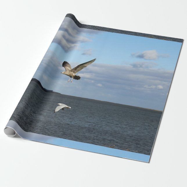 Seagulls in Flight Wrapping Paper (Unrolled)