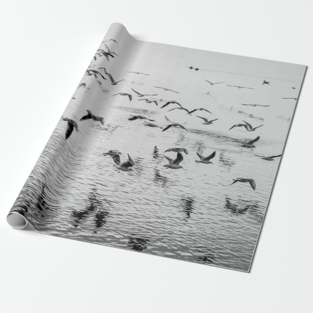 Seagulls in motion, black and white fine art image wrapping paper (Unrolled)