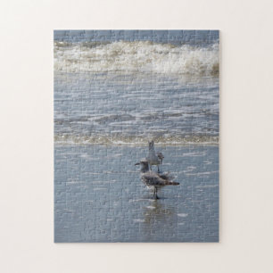 Seagulls Jigsaw Puzzle