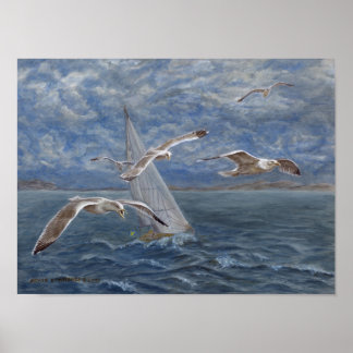 Seagulls lead the way poster