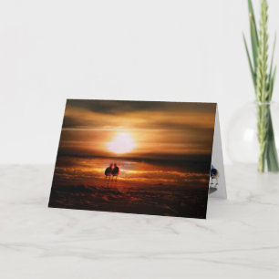 Seagulls - Lovebirds at Sunset Valentine's Day Holiday Card