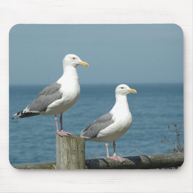 Seagulls Mouse Pad (Front)