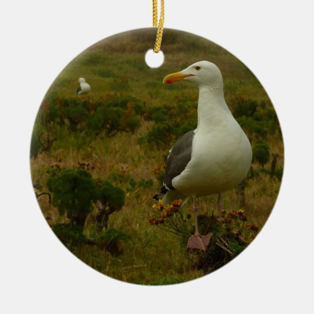 Seagulls on Anacapa Island Ceramic Tree Decoration (Front)