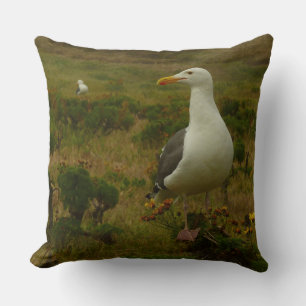 Seagulls on Anacapa Island Cushion