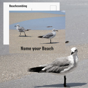 Seagulls on Beach Seashore Customisable Postcard