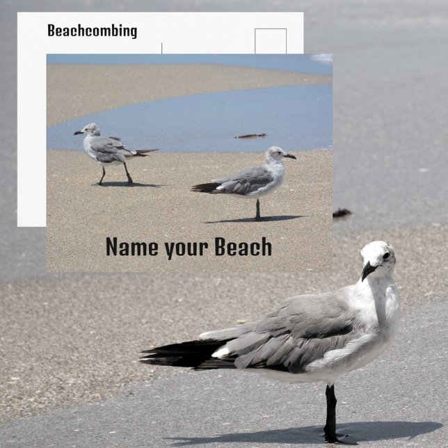 Seagulls on Beach Seashore Customisable Postcard (Creator Uploaded)