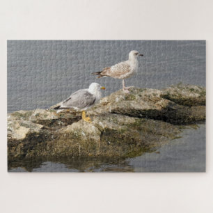 Seagulls on Rock Jigsaw Puzzle