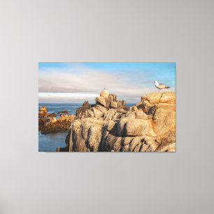 Seagulls on Rocky Coastline Canvas Print