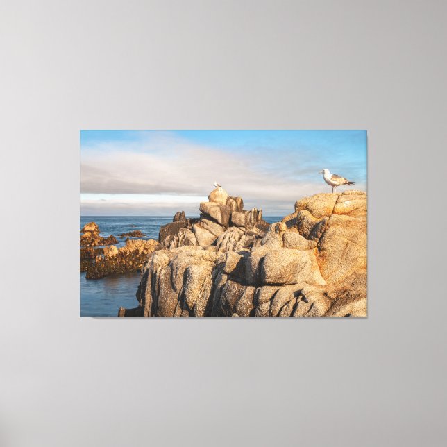 Seagulls on Rocky Coastline Canvas Print (Front)