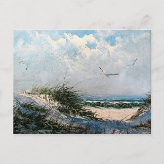 Seagulls on the beach postcard