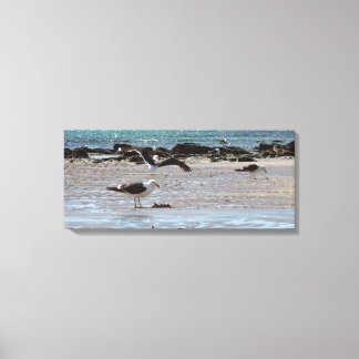 Seagulls on the seashore canvas print