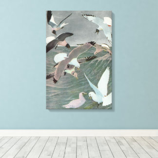 Seagulls Over Ocean Waves by Louis Agassiz Fuertes Canvas Print