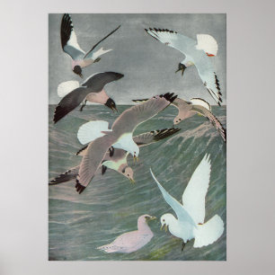 Seagulls Over Ocean Waves by Louis Agassiz Fuertes Poster
