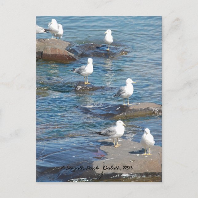 Seagulls Perch, A Seagulls Perch   Duluth, MN Postcard (Front)