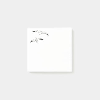Seagulls Post-it Notes