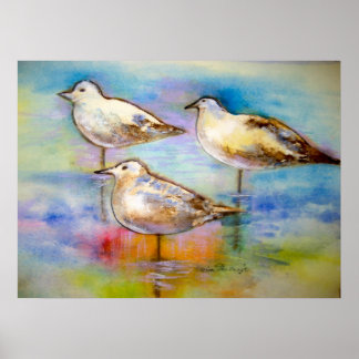 Seagulls - Poster