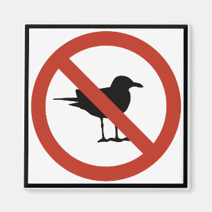 Seagulls Prohibited Magnet