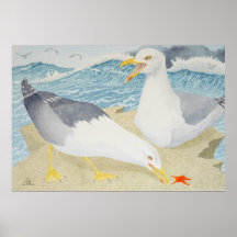 Seagulls resting on a cliff