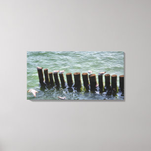 Seagulls Resting on Pilings Canvas Print