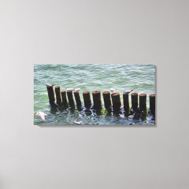 Seagulls Resting on Pilings Canvas Print (Front)