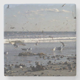 Seagulls & Shells Stone Coaster