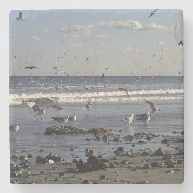 Seagulls & Shells Stone Coaster (Front)