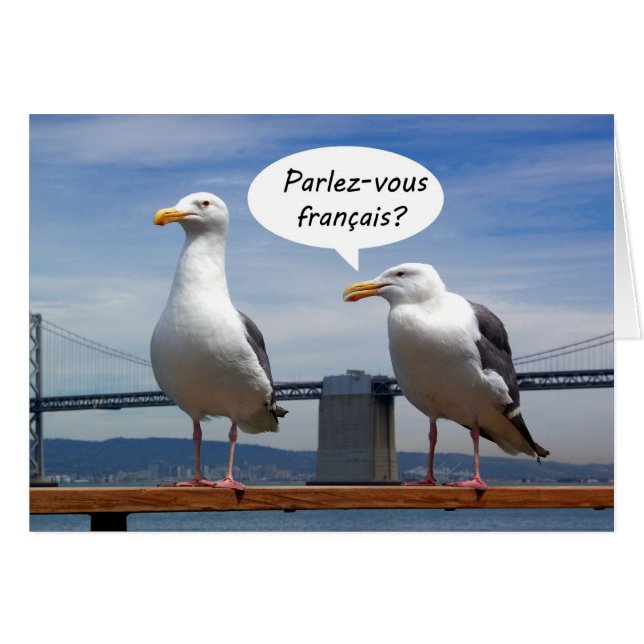 Seagulls speak French (Front Horizontal)