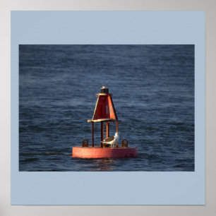 Seagulls with Buoy Poster