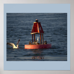 Seagulls with Buoy Poster