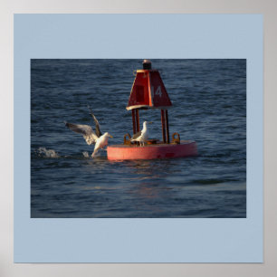 Seagulls with Buoy Poster