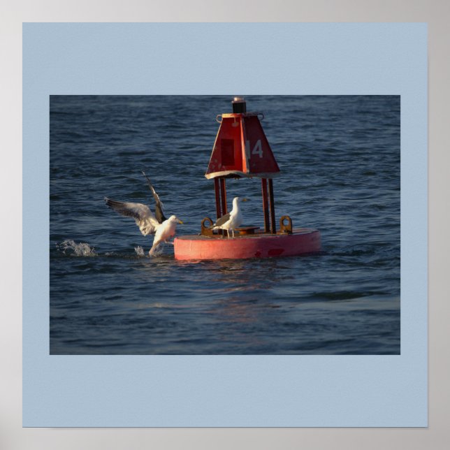 Seagulls with Buoy Poster (Front)