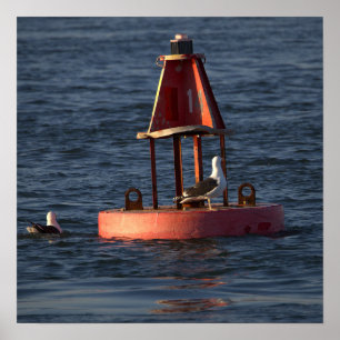 Seagulls with Buoy Poster