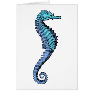 Seahorse