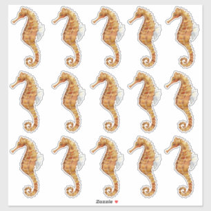 Seahorse 15 Large Watercolor Painted Transparent