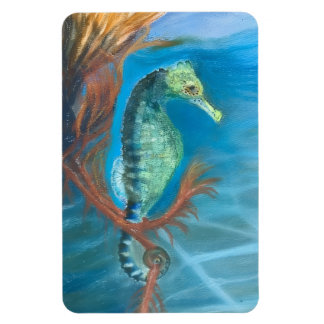 Seahorse among seaweed magnet