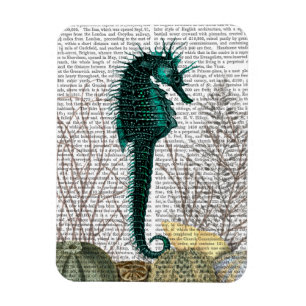 SeaHorse and Sea Urchins 2 Magnet