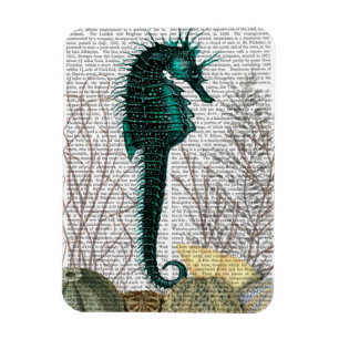 SeaHorse and Sea Urchins Magnet