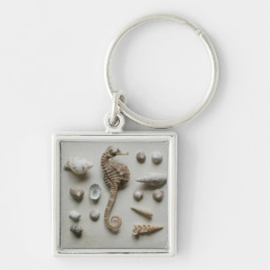 Seahorse And Shells Key Ring