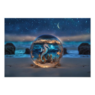 Seahorse and Starfish Beach Underwater Nautical Photo Print
