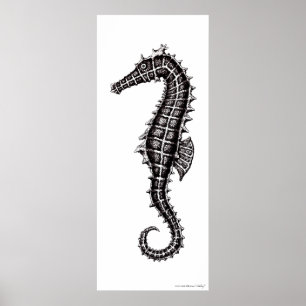 Seahorse black and white drawing art poster