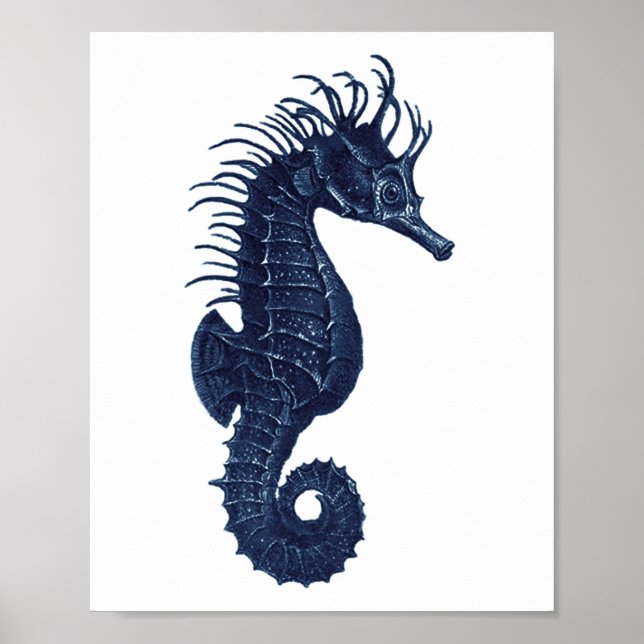 Seahorse Blue and White Beach Decor (Front)