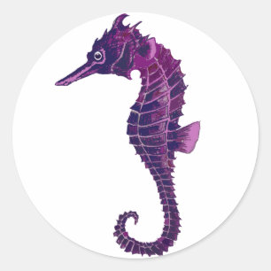 Seahorse Classic Round Sticker