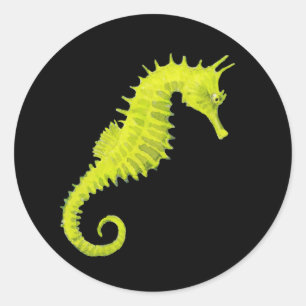 Seahorse Classic Round Sticker