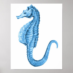 Seahorse coastal nautical beach ocean sea poster
