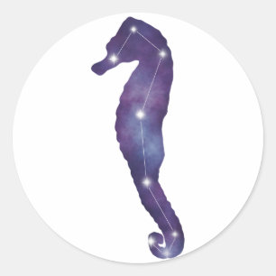 Seahorse Constellation Sticker