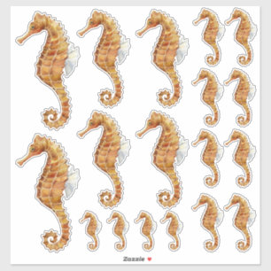 Seahorse Family 18 Watercolor Painted Transparent
