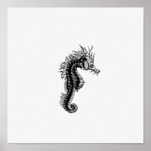 Seahorse Illustration Poster