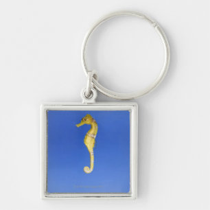 Seahorse Key Ring