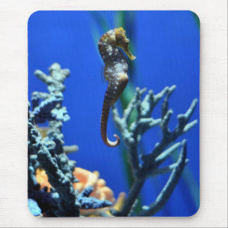 Seahorse Magic Mouse Mat