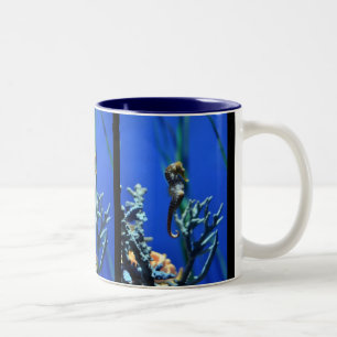 Seahorse Magic Two-Tone Coffee Mug